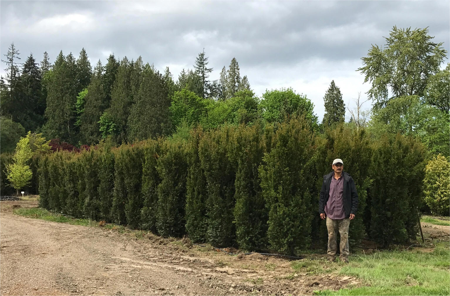 H.M. Eddie Yews at the farm